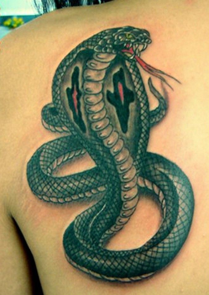 Attractive 3d Cobra Snake Tattoo On Left Back Shoulder - Tattoo Cobra Snake - HD Wallpaper 