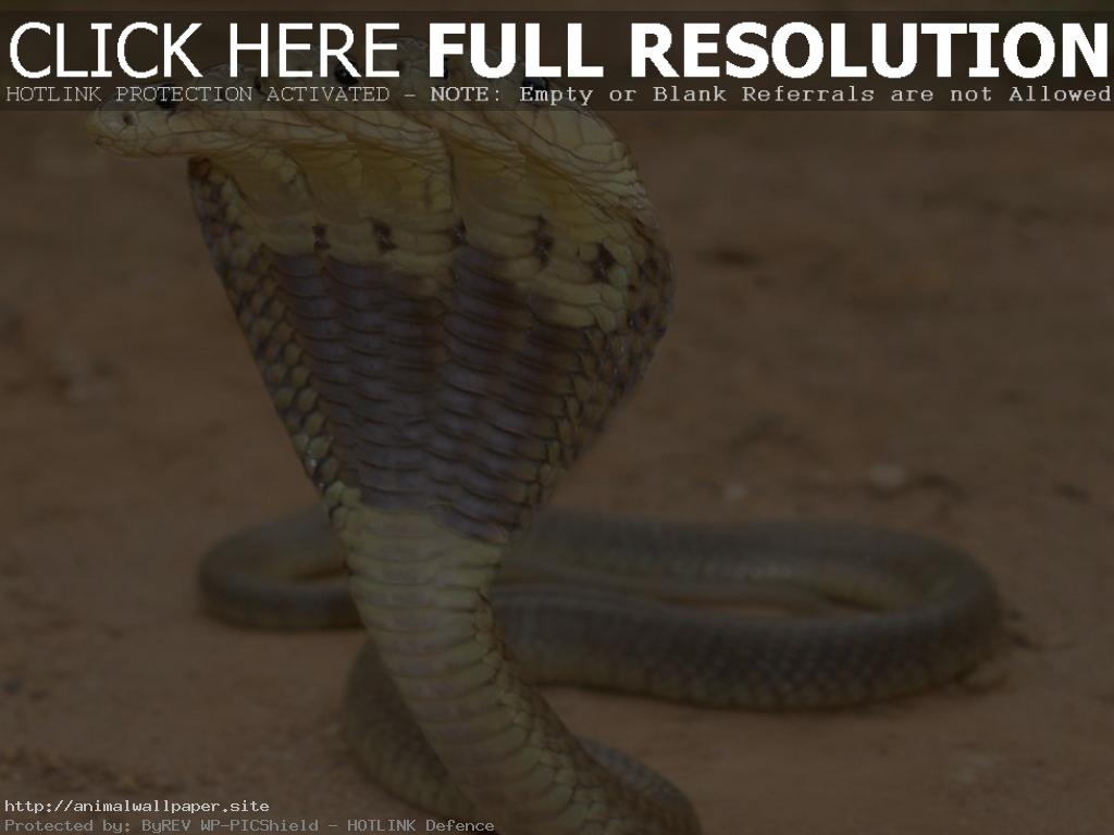 Warren Street Tube Station - HD Wallpaper 