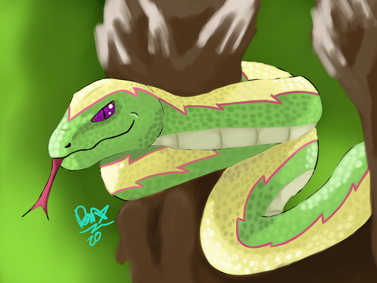 Snake - Vine Snake - HD Wallpaper 