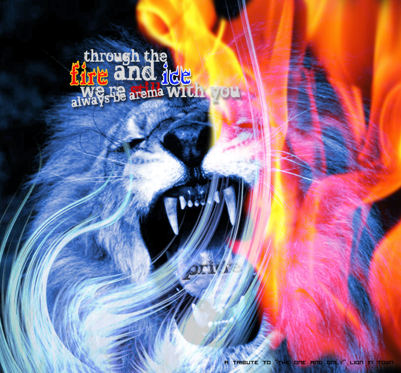 Royalty Free Lion Roaring - HD Wallpaper 