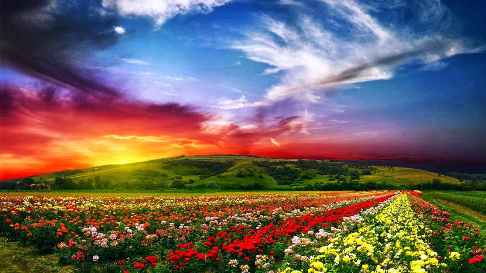 Hd Backgrounds Free Download Group - 1600x900 Wallpaper Hd Backgrounds Free Download Group - 1600x900 Wallpaper