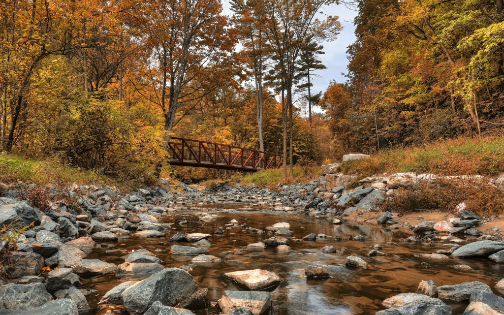 Autumn Wallpaper 4k - HD Wallpaper 