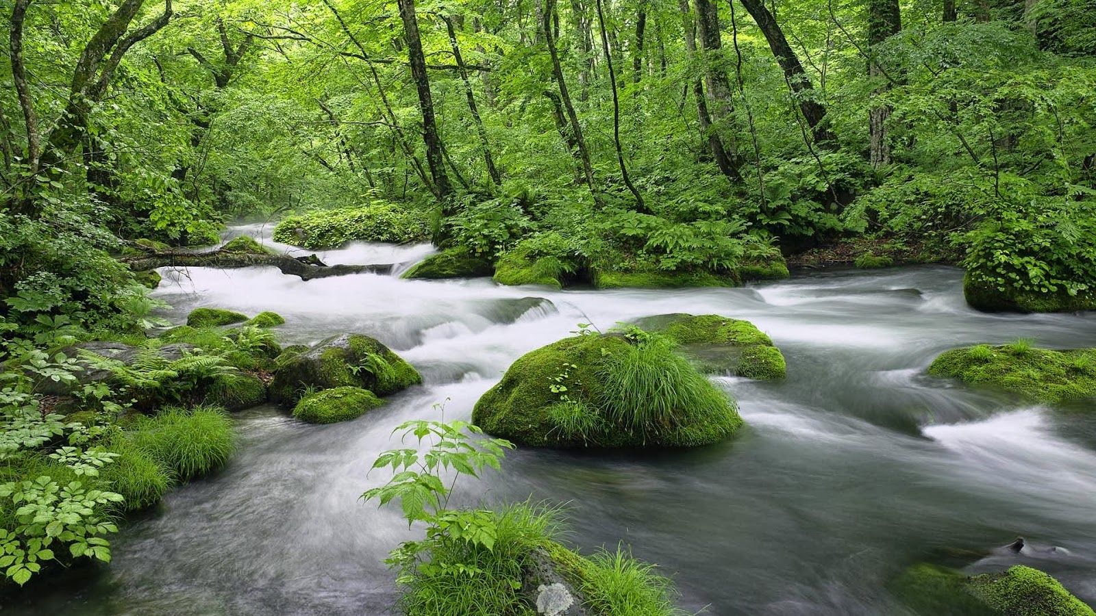 desktop background image size desktop background image size