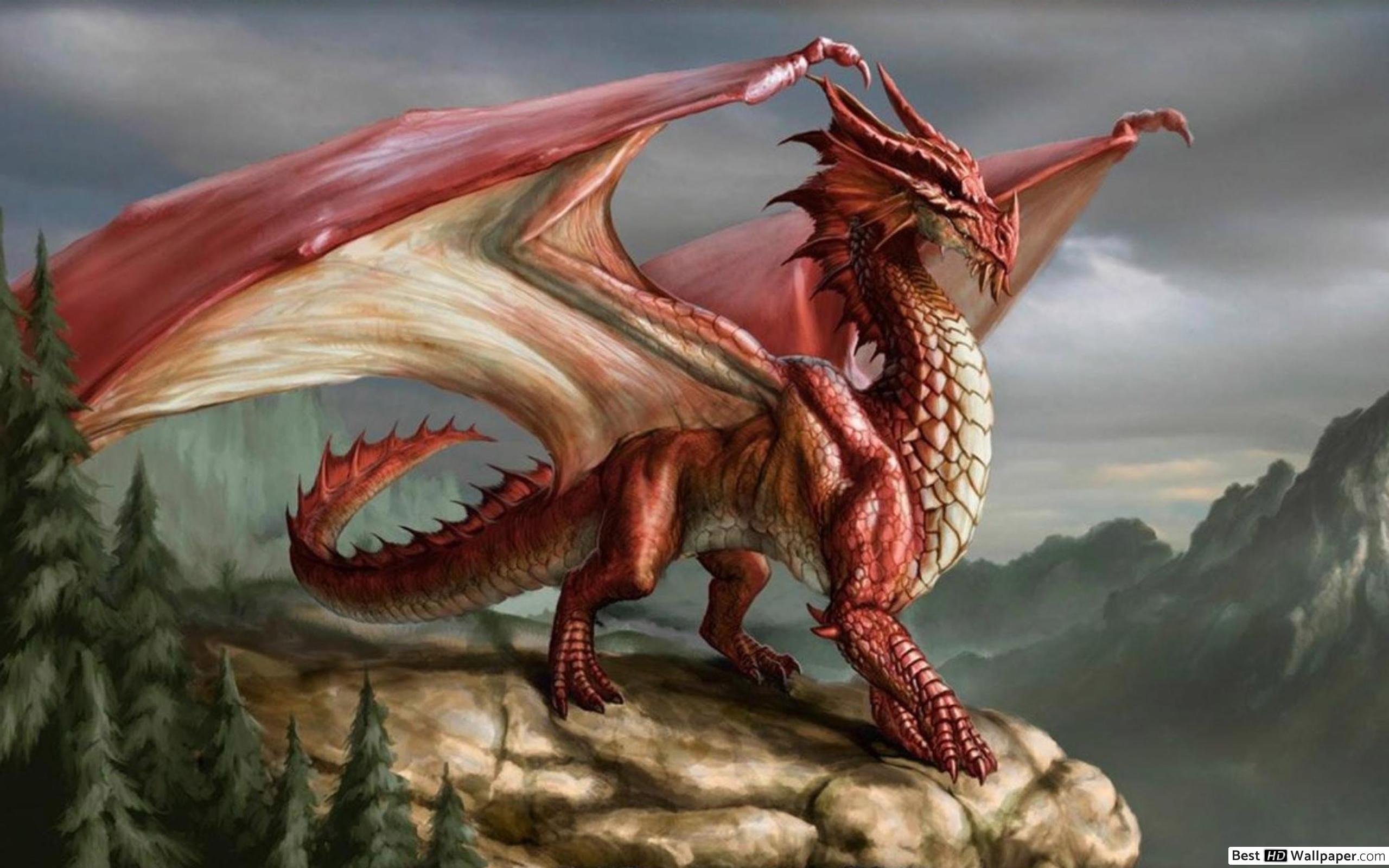 European Dragon - HD Wallpaper 