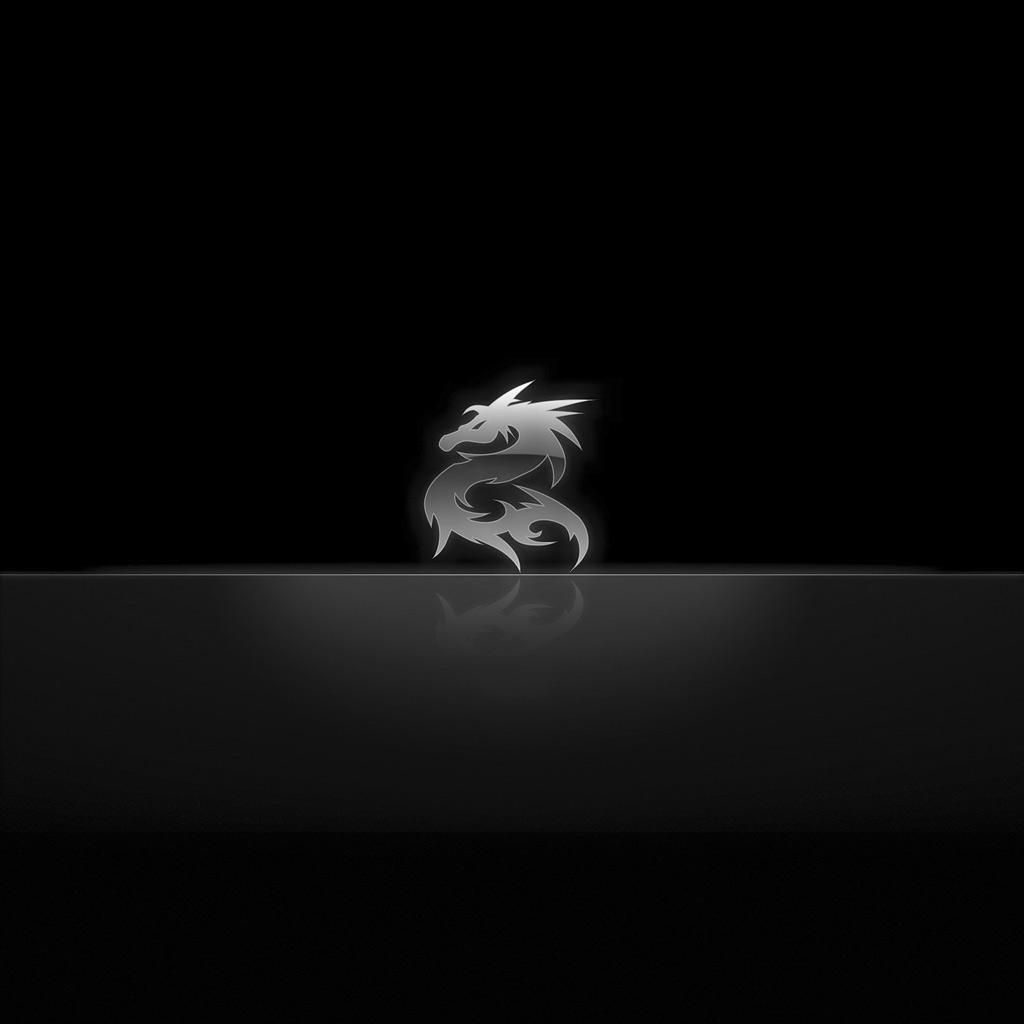 Dragon - HD Wallpaper 