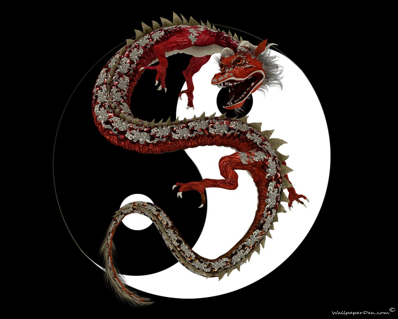 Black Red Chinese Dragon - HD Wallpaper 
