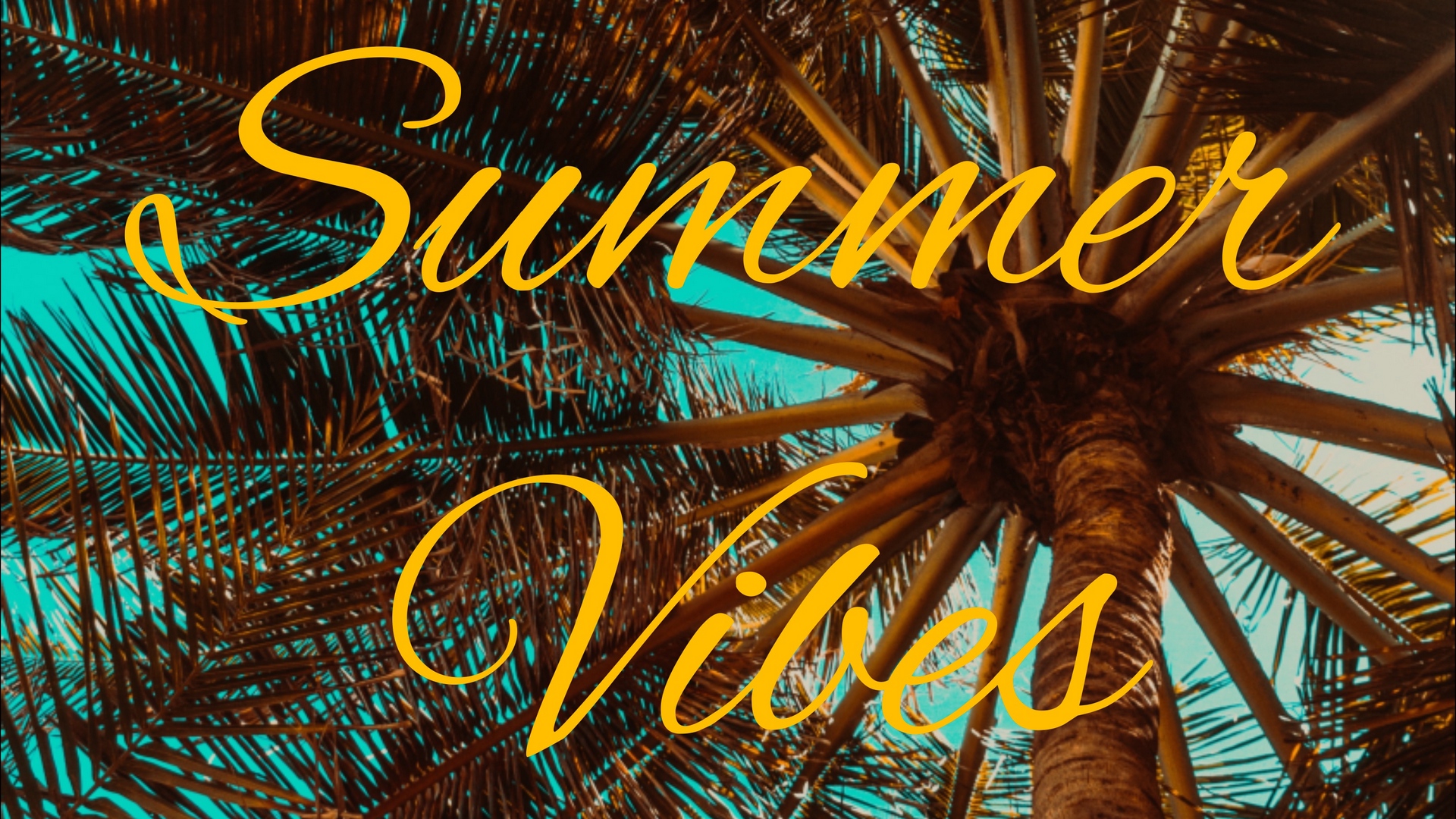 Wallpaper Summer, Vibes, Palm, Mood - Summer Vibes Wallpaper Hd - HD Wallpaper 