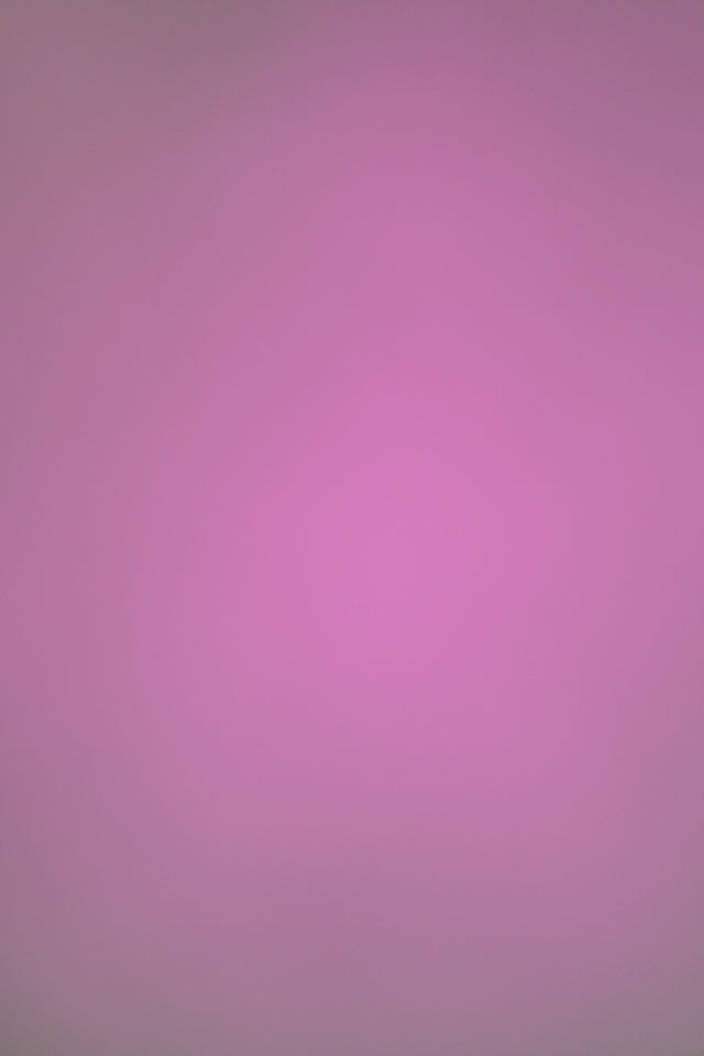 Lilac - HD Wallpaper 