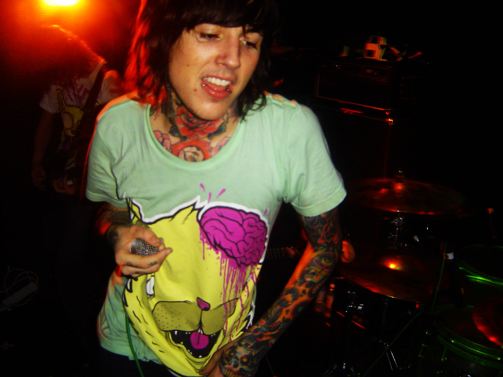 Drop Dead Cat - HD Wallpaper 