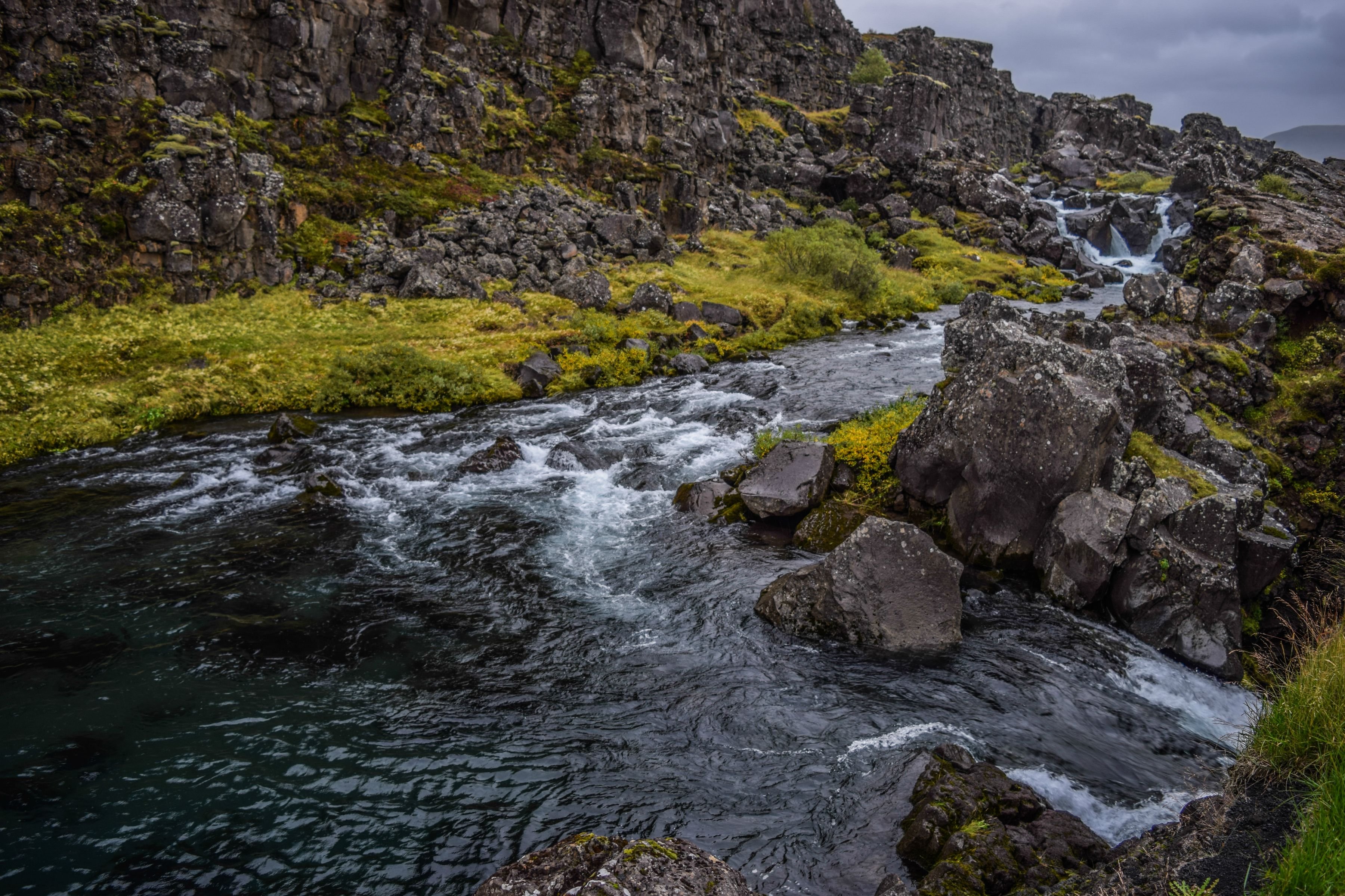 Drekkingarhylur Aka Drowning Pool - HD Wallpaper 