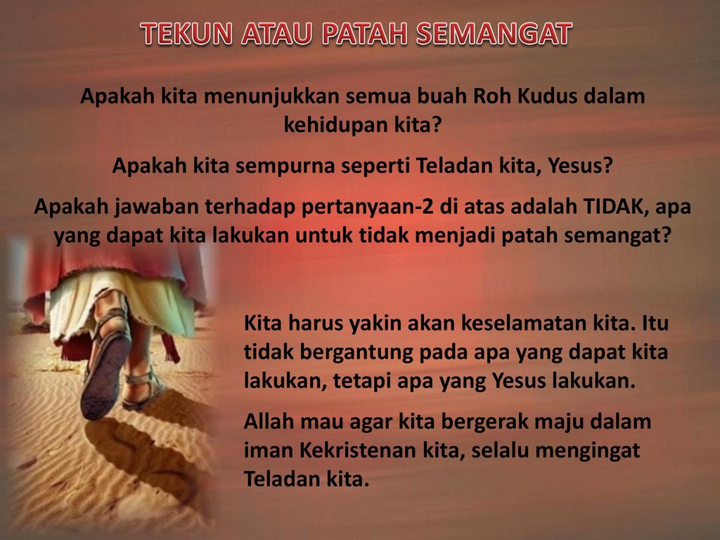 Hermit Crab - HD Wallpaper 