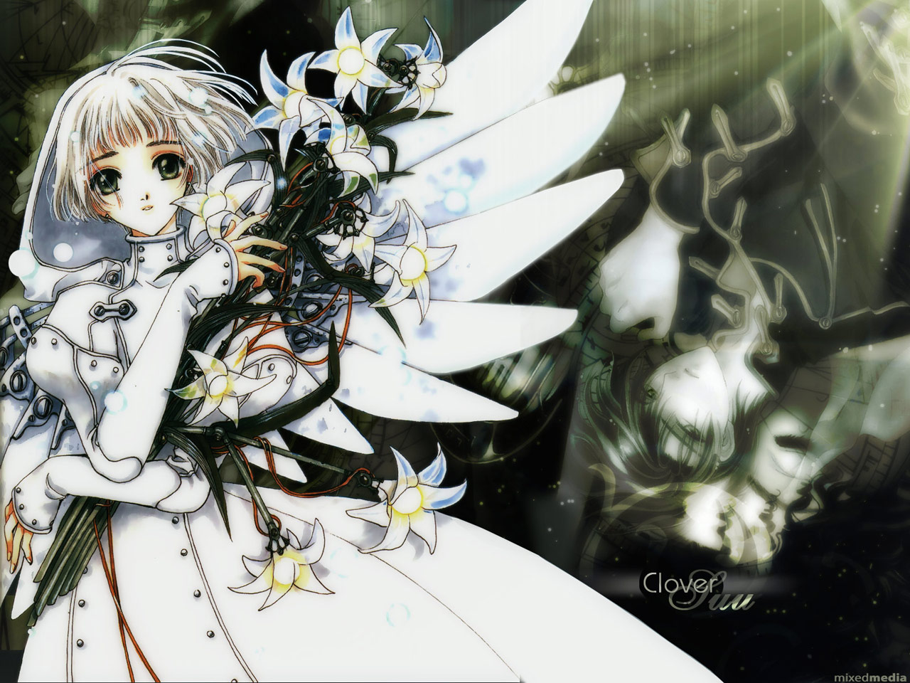 Clamp Clover Lan Suu Wallpaper Style Width Clamp Clover 1280x960 Wallpaper Teahub Io