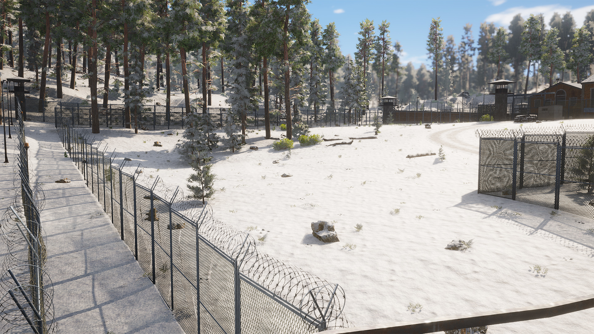 Spruce - HD Wallpaper 