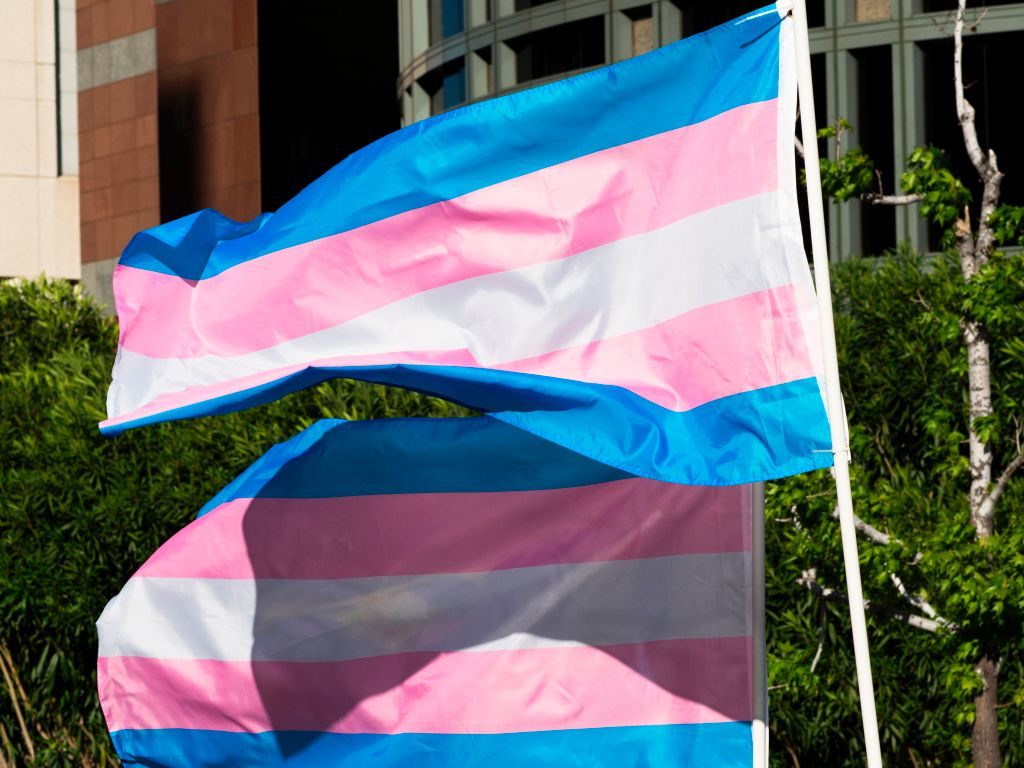 Trans Day Of Visibility 2018 - HD Wallpaper 