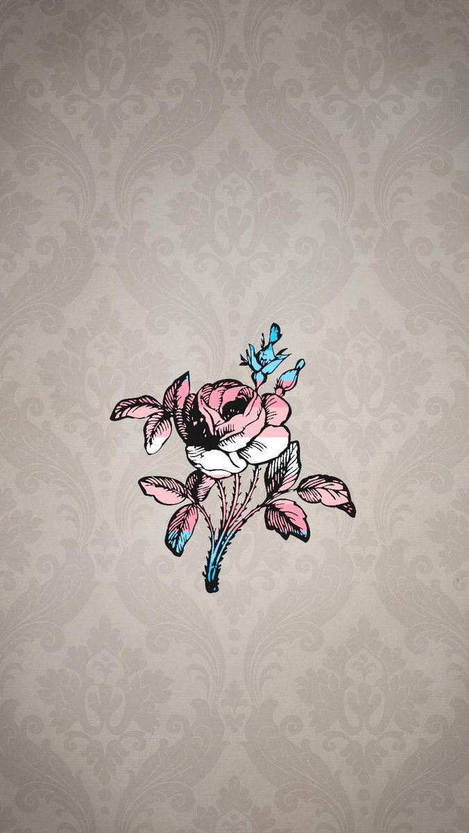 Clip Art Png Rose Flower Black & White - HD Wallpaper 