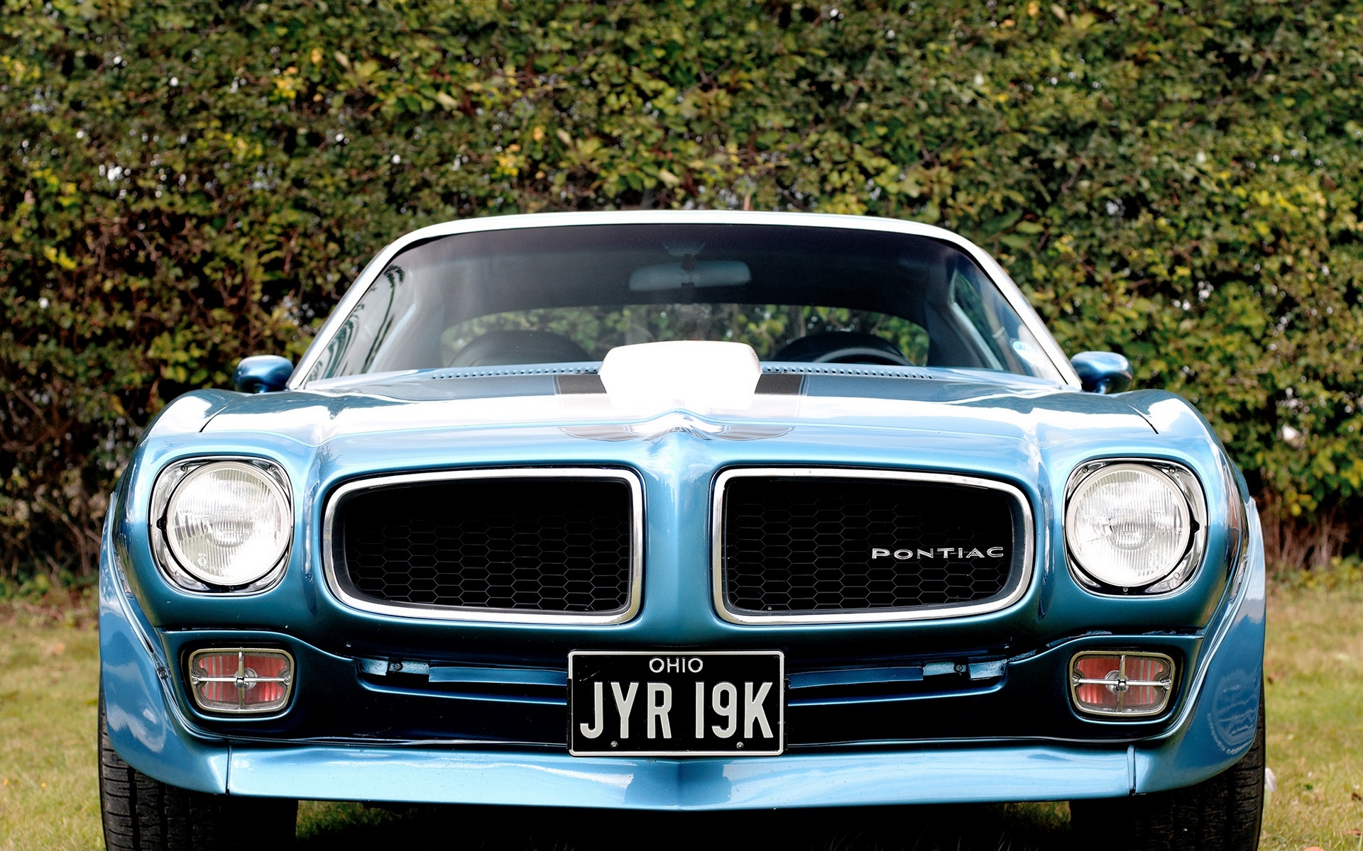 Pontiac Firebird Wallpaper Hd - HD Wallpaper 