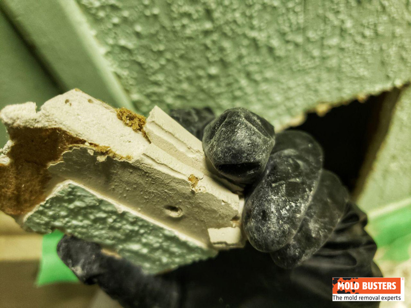 Asbestos In Drywall - Macro Photography - HD Wallpaper 