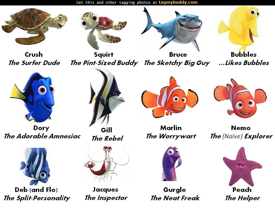 , Fs - Finding Nemo Classmates Names - HD Wallpaper 