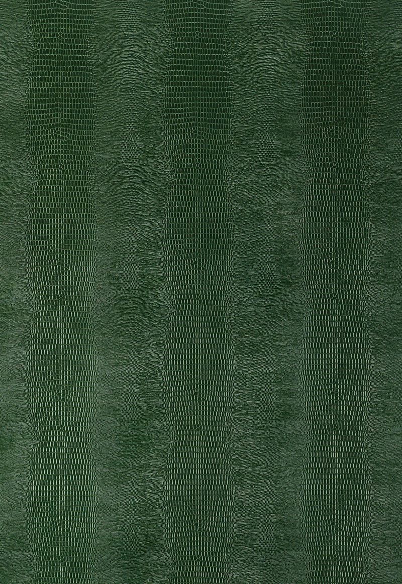 Forest Green Textured 800x1163 Wallpaper teahub.io