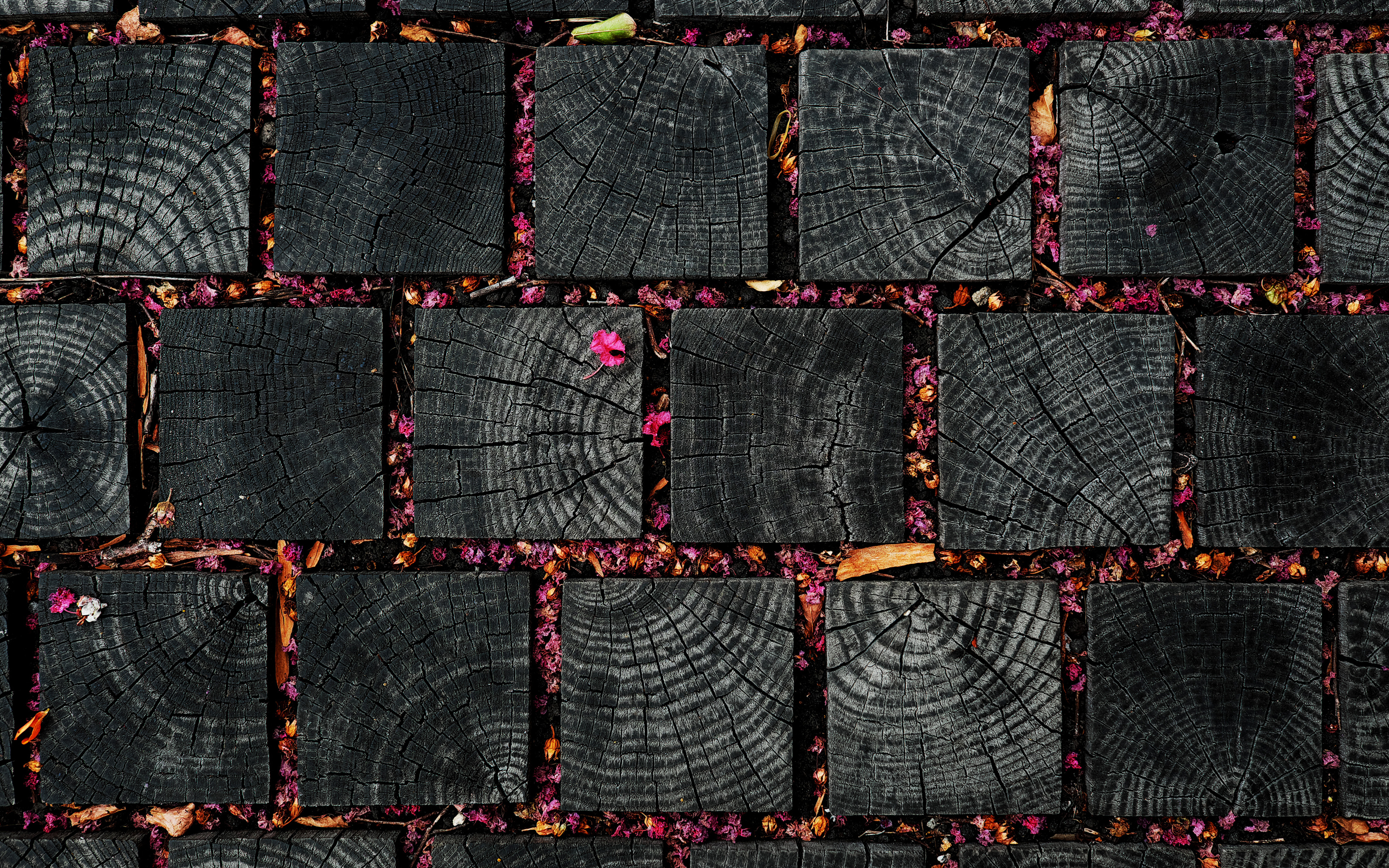 Black Square Logs, 4k, Wooden Logs Texture, Black Wooden - Fondos Negros De Madera - HD Wallpaper 
