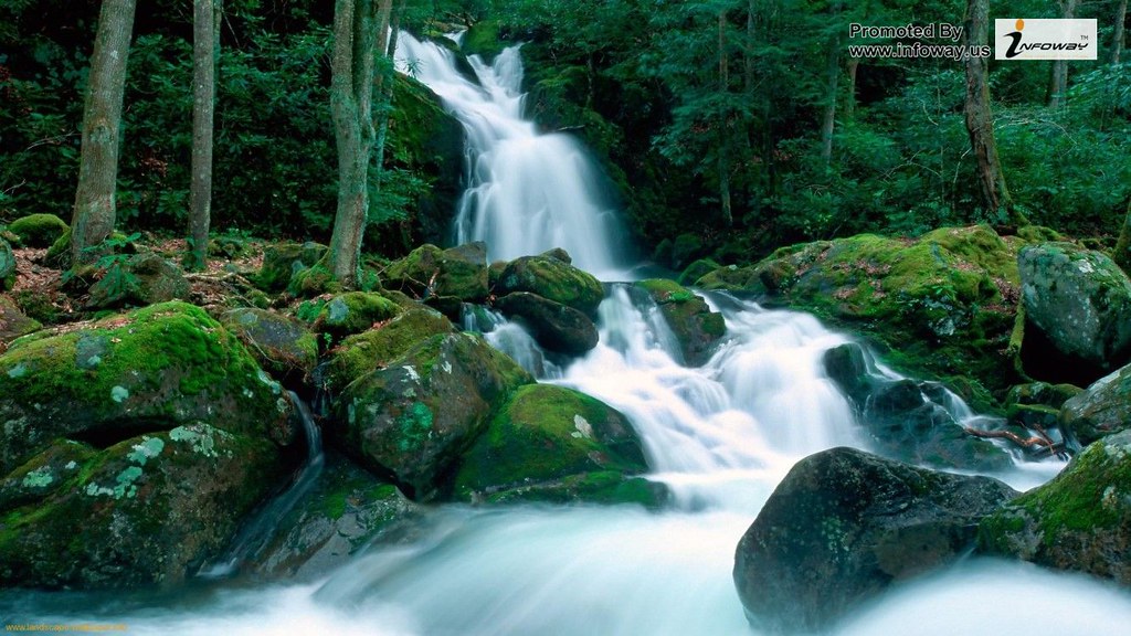 High Resolution Smoky Mountains - HD Wallpaper 