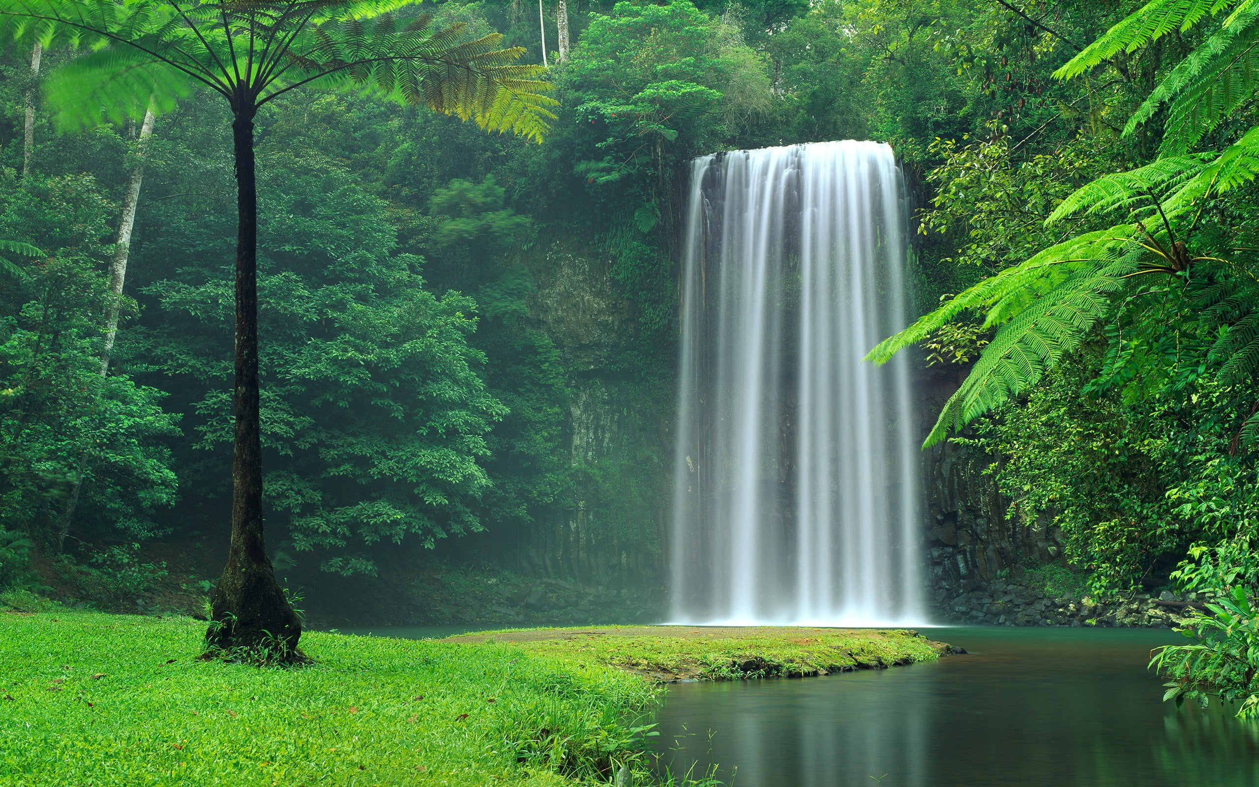 Iphone X Wallpaper Waterfall - 2560x1600 Wallpaper - teahub.io