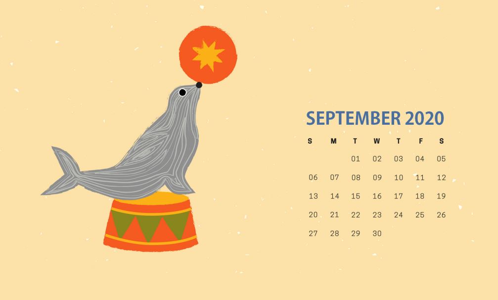 September 2020 Calendar Wallpaper - Whale - HD Wallpaper 