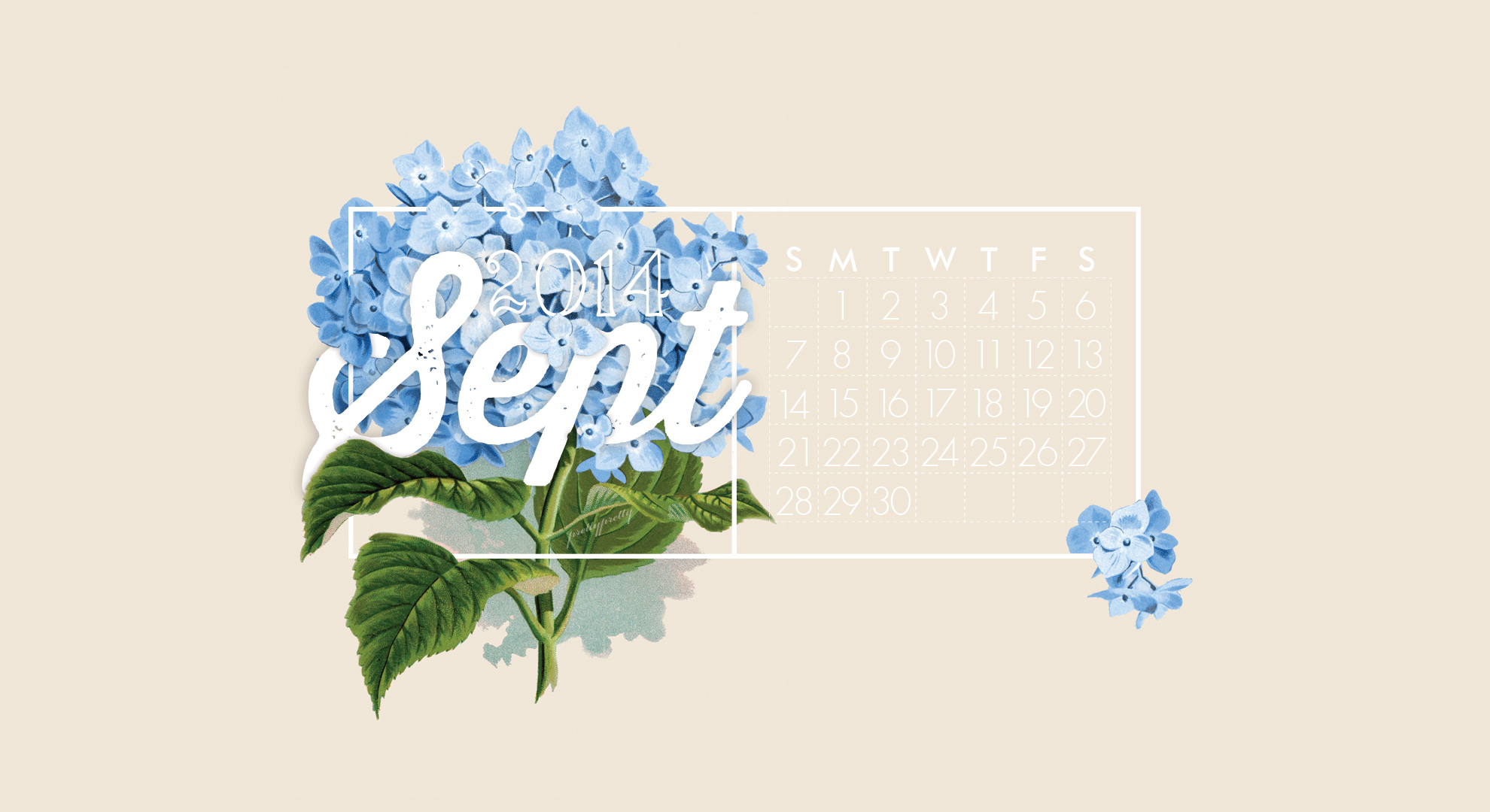 Hydrangea Print - HD Wallpaper 