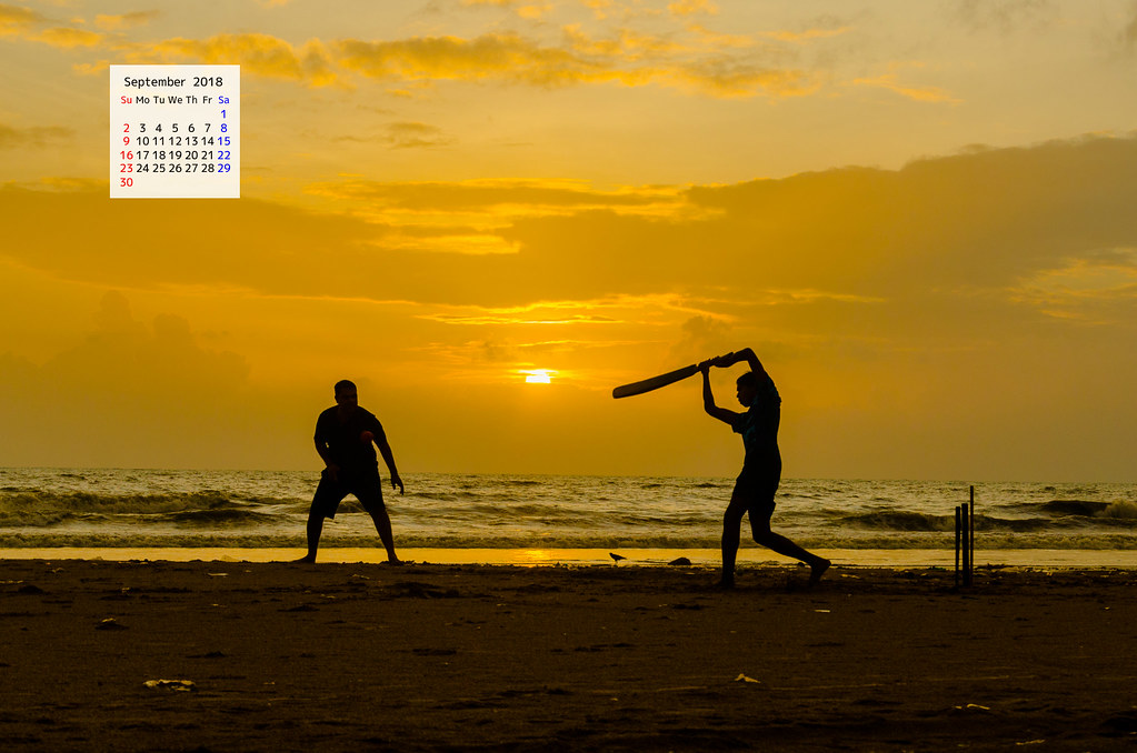 Beach Cricket - HD Wallpaper 