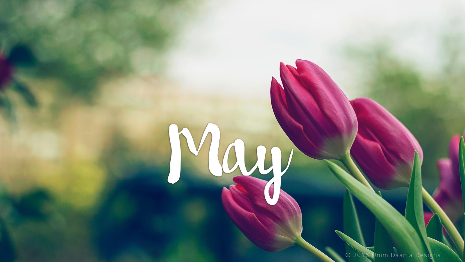 May Month Wallpaper Hd - HD Wallpaper 