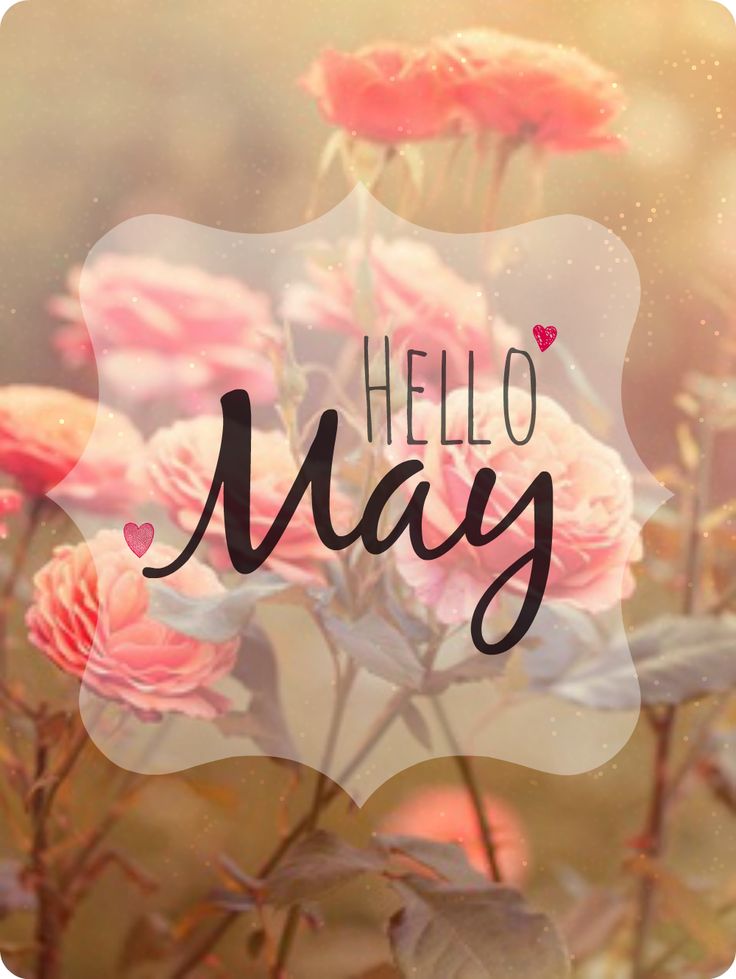 Hello May - Welcome May My Birthday Month - HD Wallpaper 