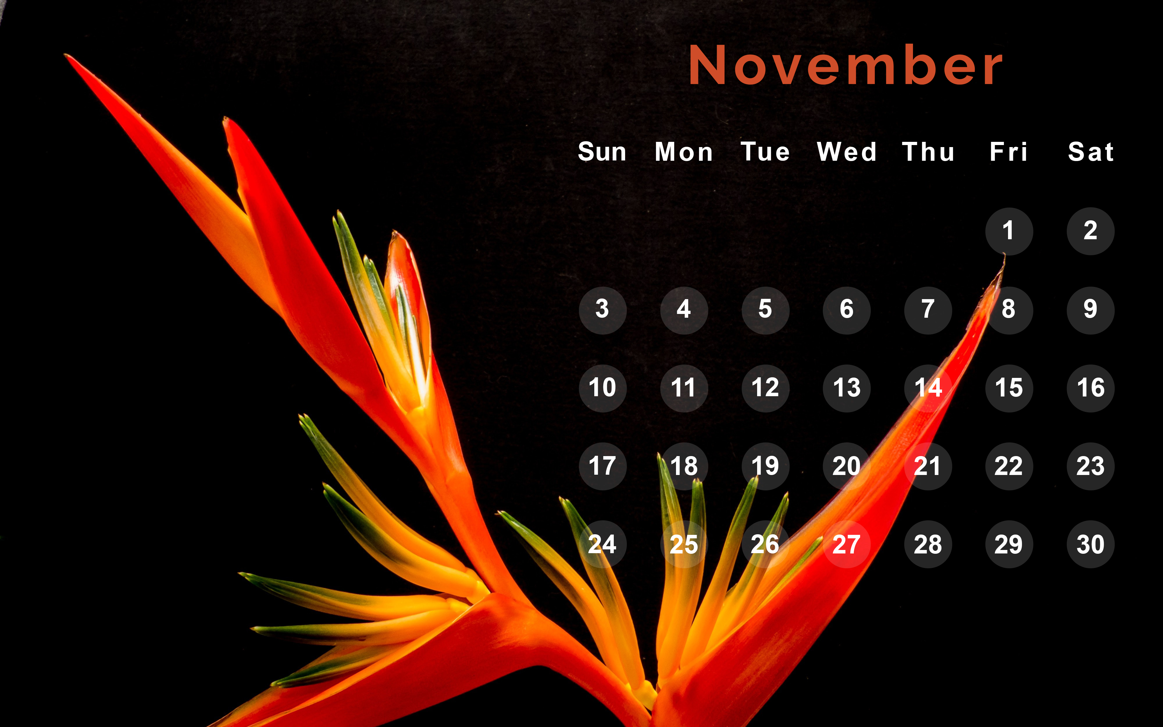 November 2019 Wallpaper With Calendar - Red Birds Of Paradise Flower - HD Wallpaper 