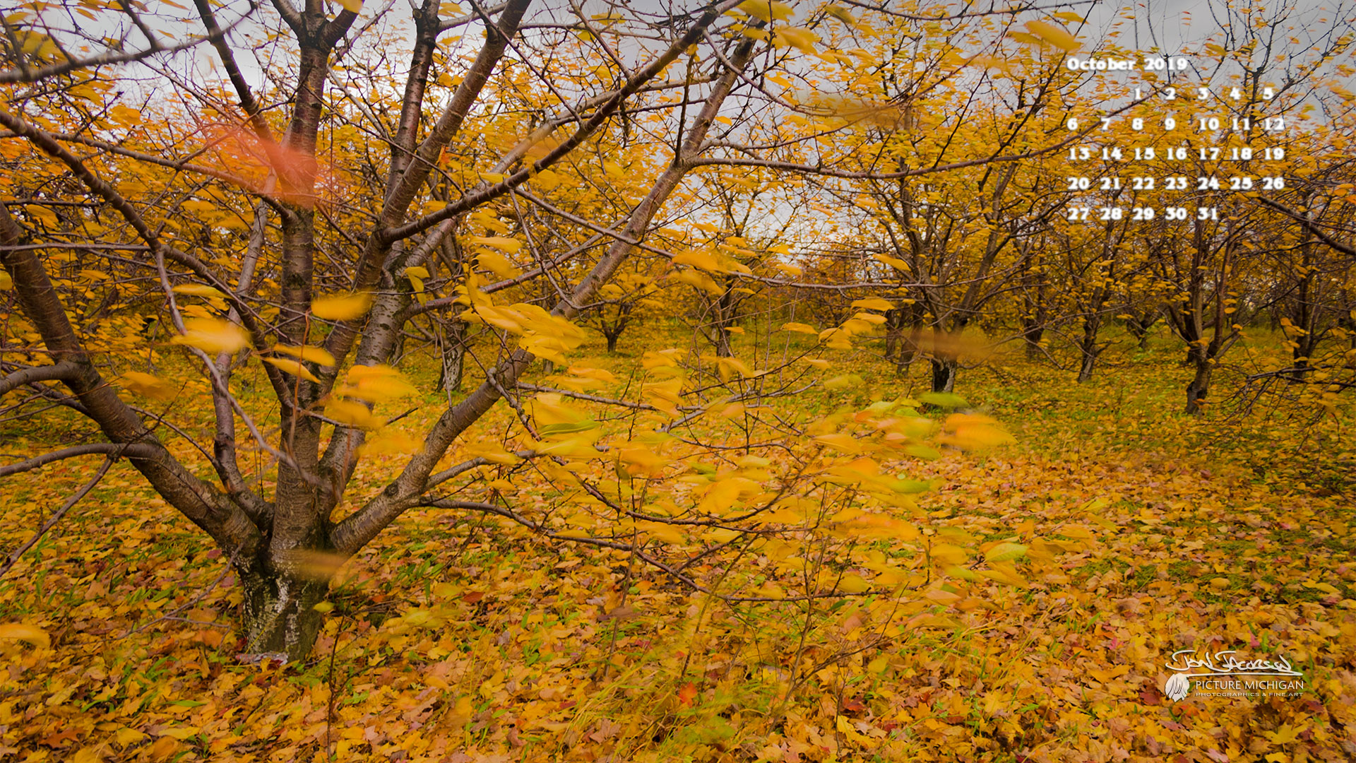 Autumn Breeze - Autumn Wallpapers Calendar November 2019 - HD Wallpaper 