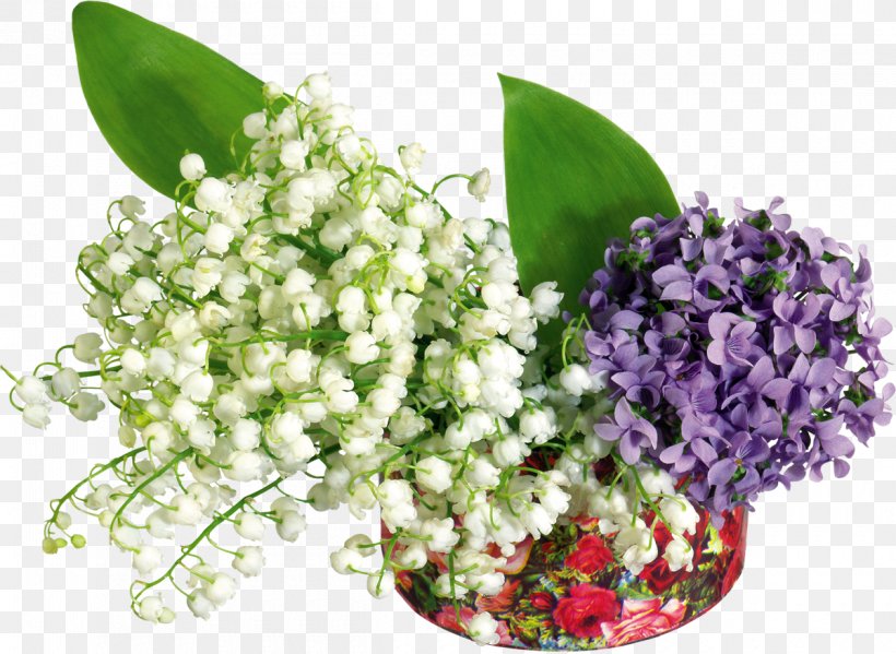 Lily Of The Valley Flower Desktop Wallpaper, Png, 1200x877px, - 1er Mai Muguet Fee - HD Wallpaper 