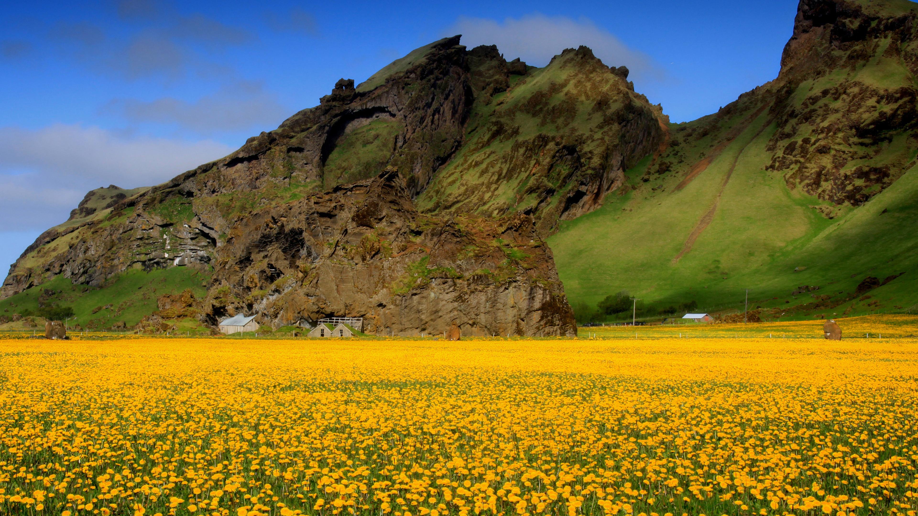 Valley Of Flowers Hd - HD Wallpaper 