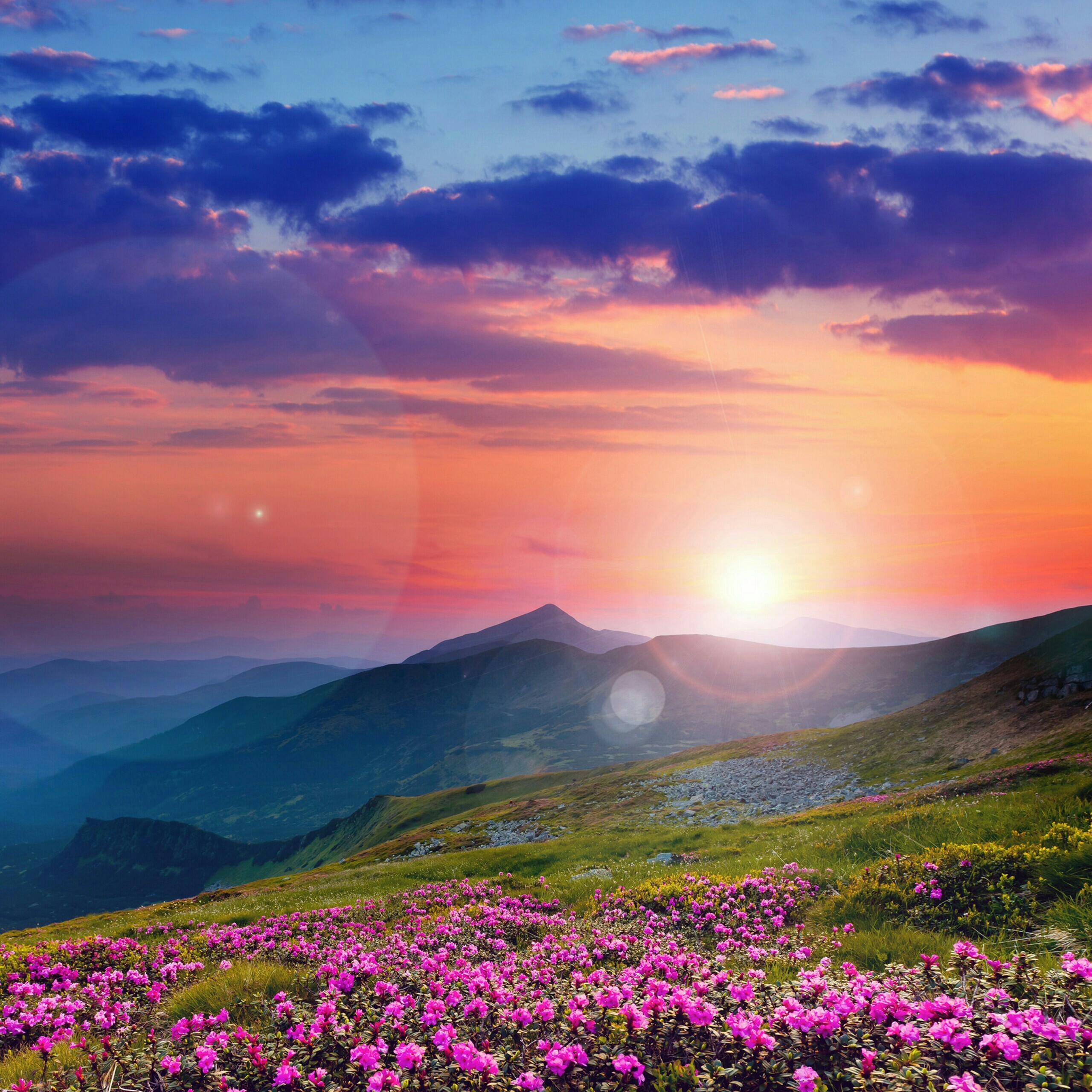 Lrh Quotes - HD Wallpaper 