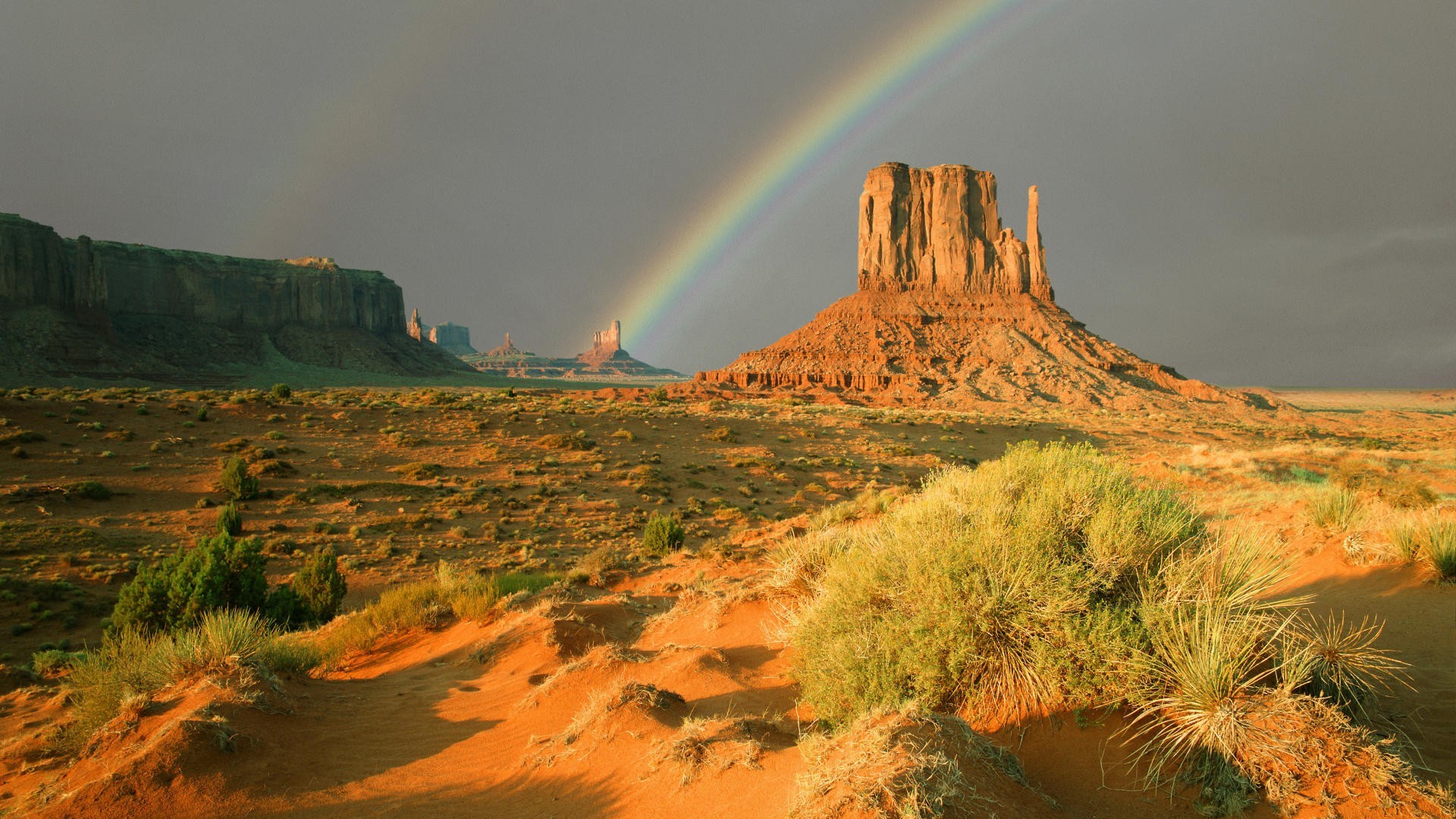 Texas Nature Hd - HD Wallpaper 