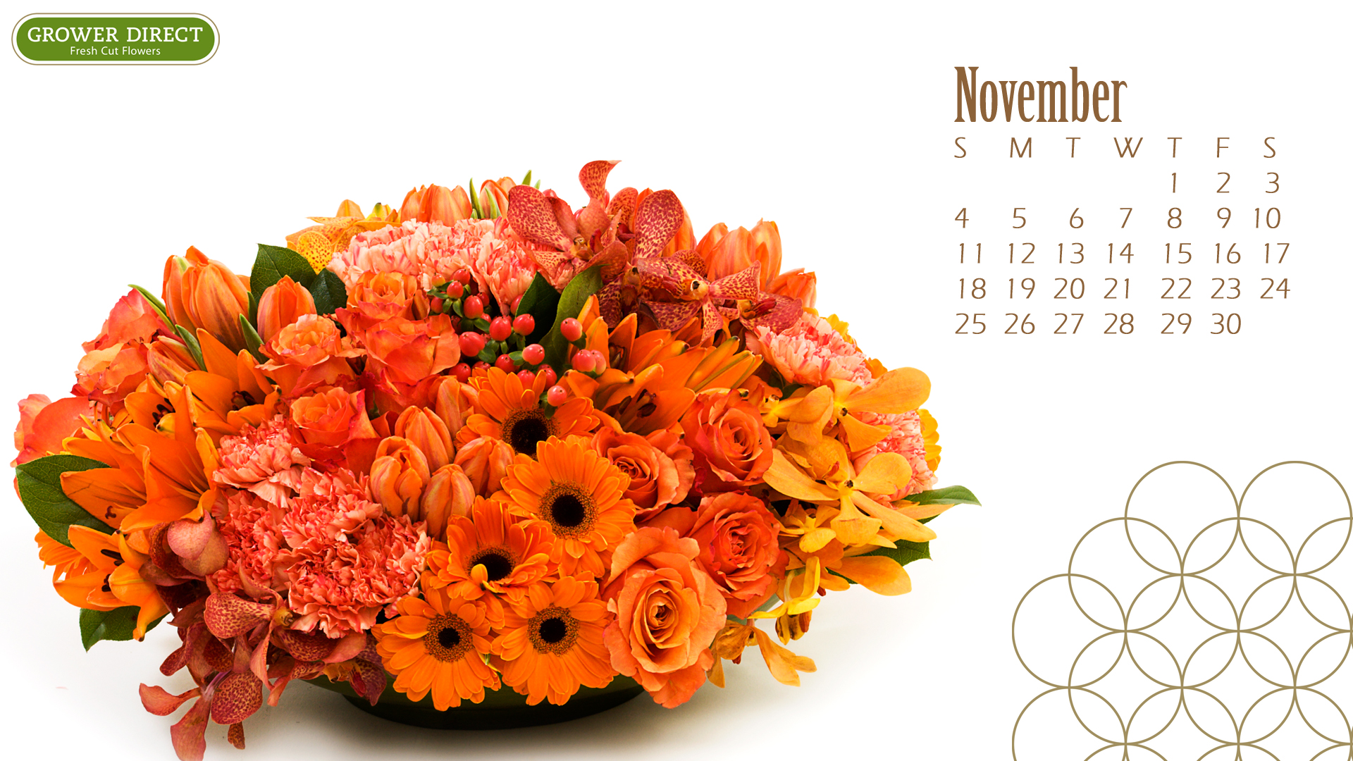 Growers Direct November Calendar 2017 - HD Wallpaper 