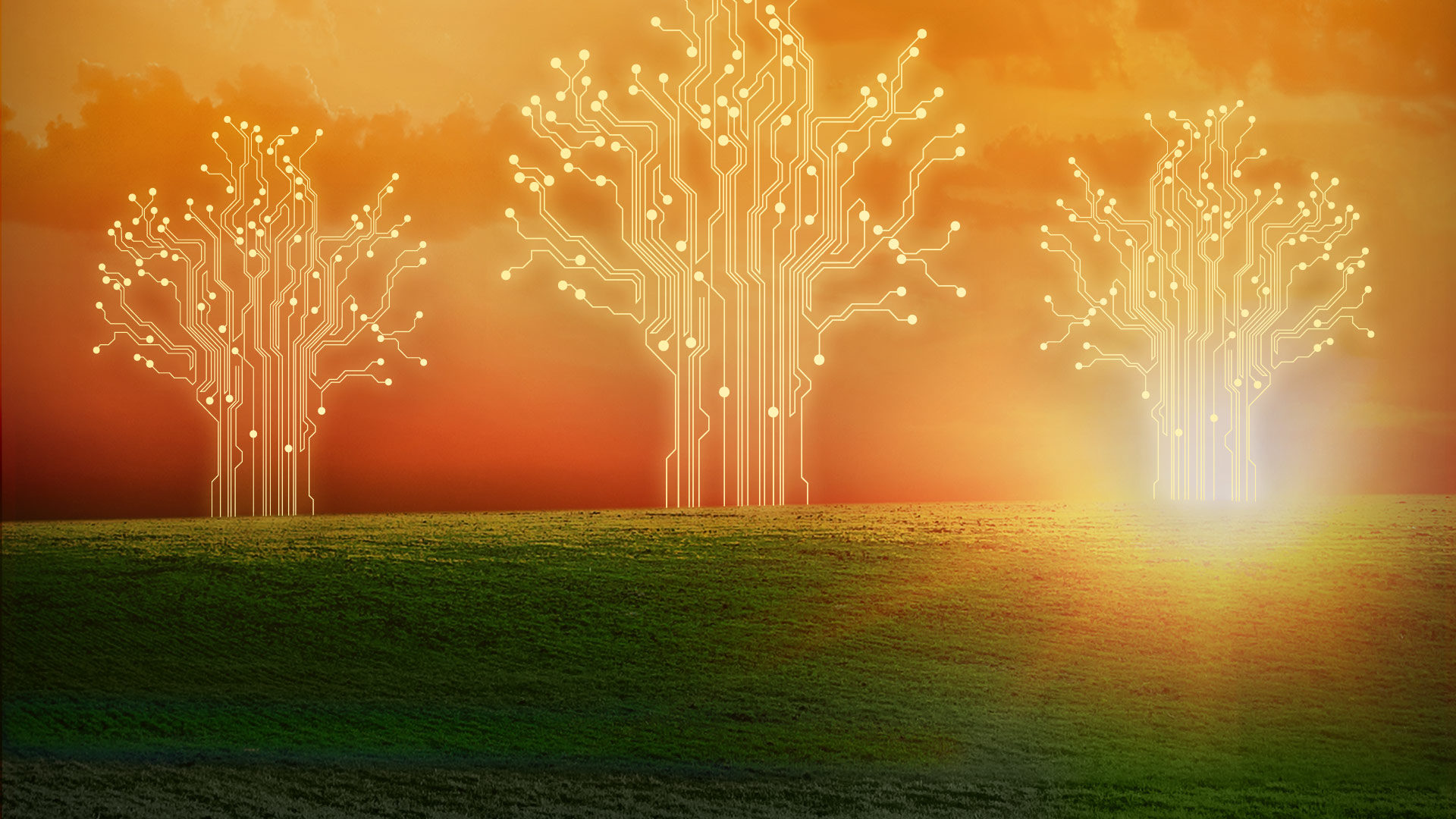 American Experience Silicon Valley - HD Wallpaper 