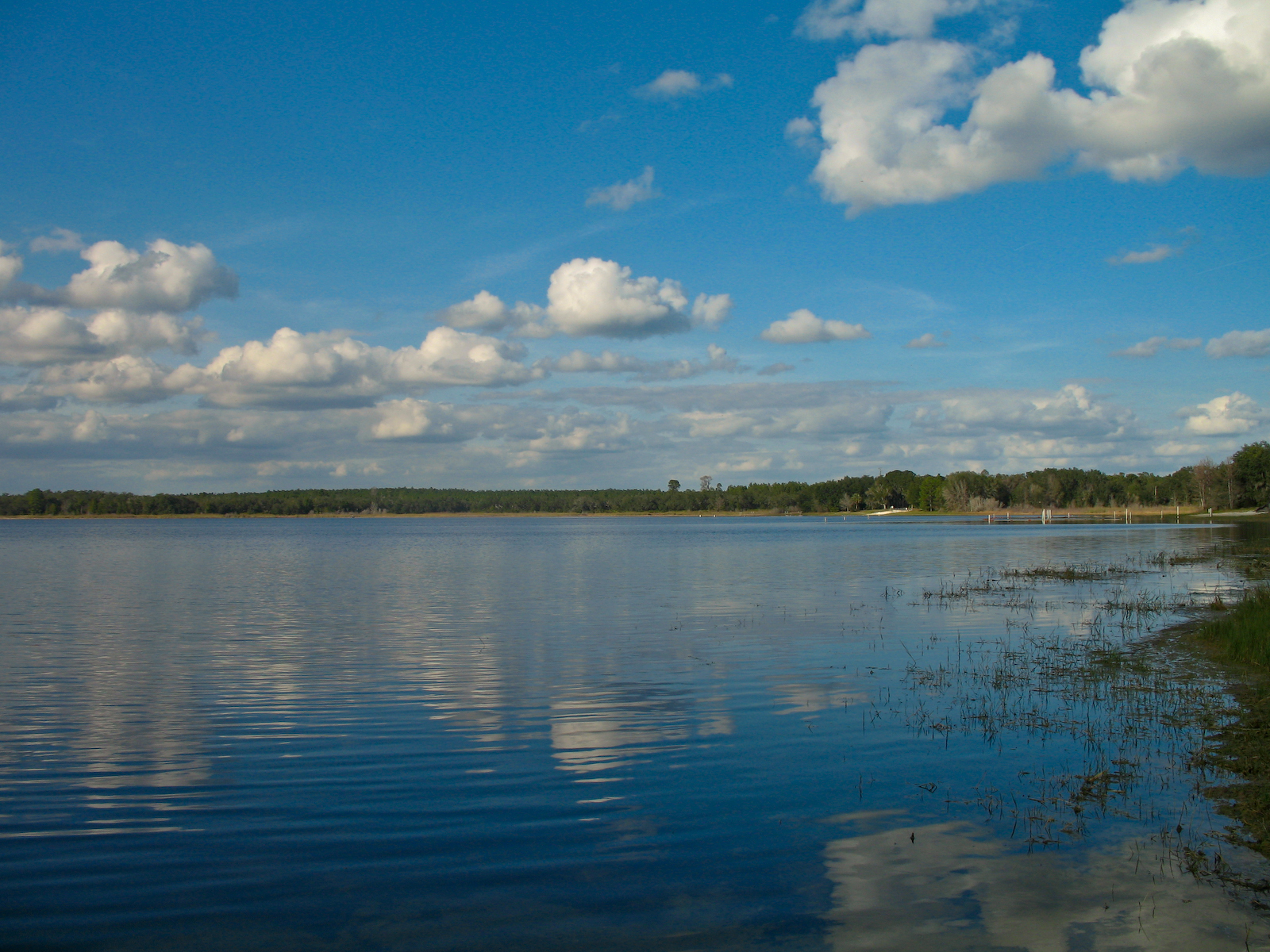 Mill Dam Lake Florida - HD Wallpaper 