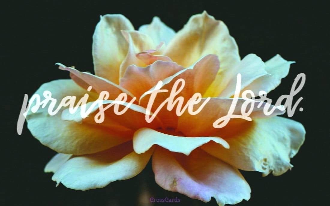 Free Wallpaper Flowers Home Wallpaper A Nature A Flowers - Praise Lockscreen - HD Wallpaper 