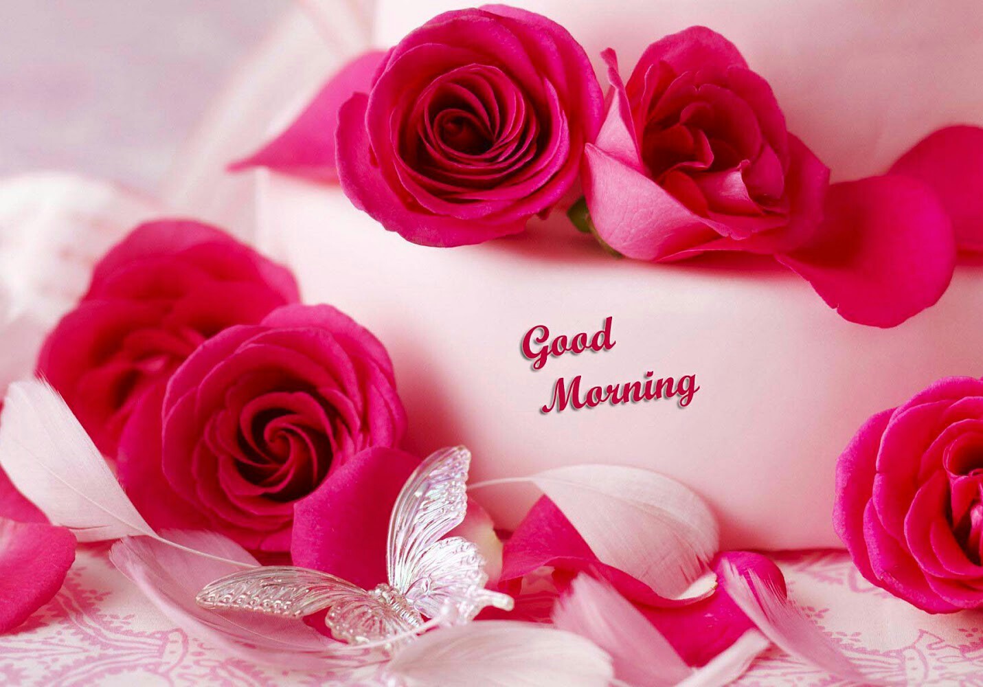 Latest Good Morning Free Hd Photos - Friend Love Good Morning Message - HD Wallpaper 