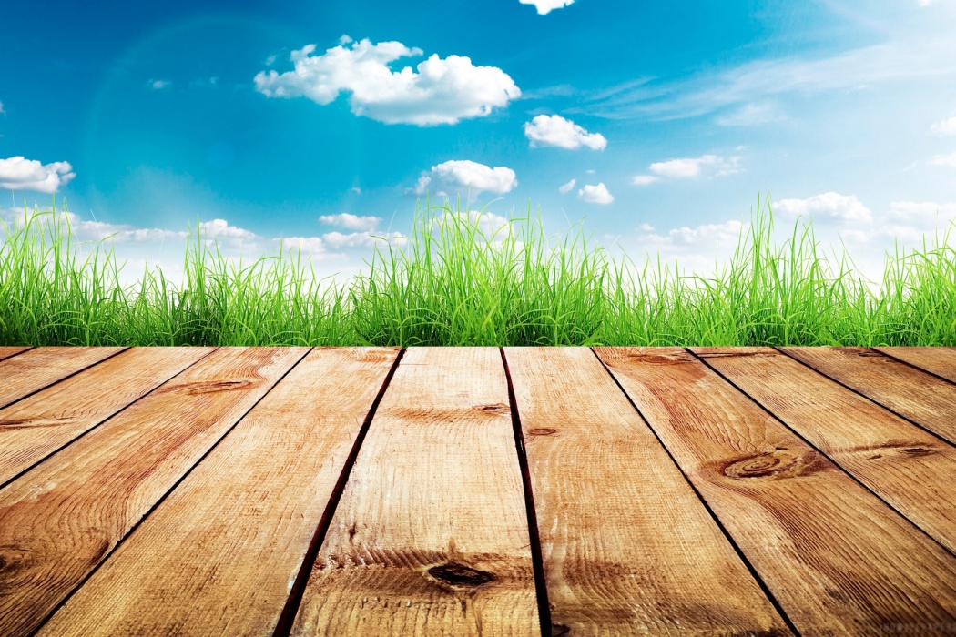 Beautiful Sunny Day Scene - Photography Background - HD Wallpaper 