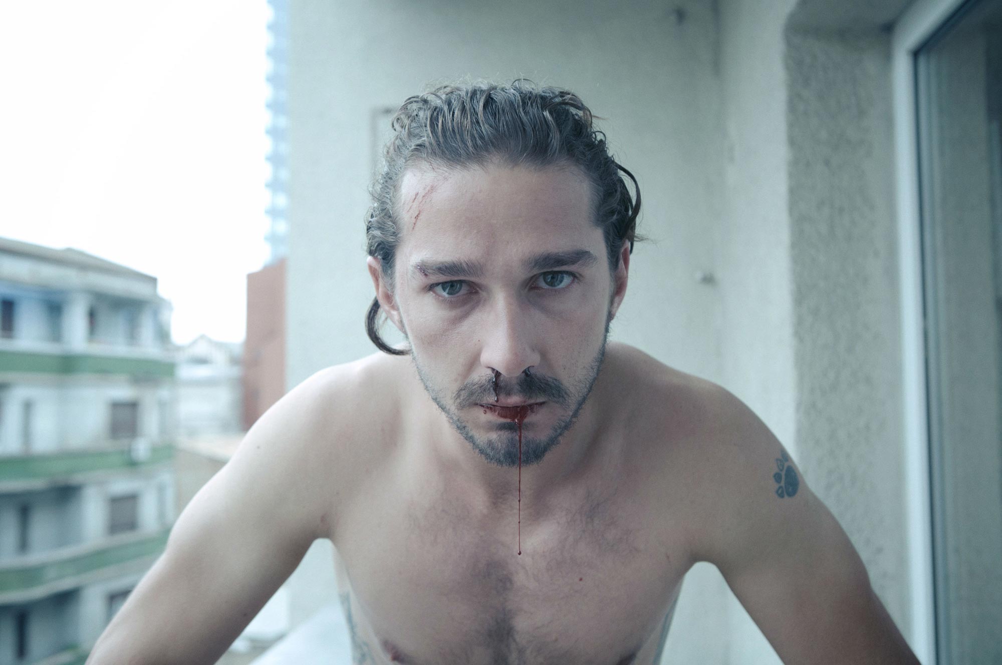 Necessary Death Of Charlie Countryman (2013) - HD Wallpaper 