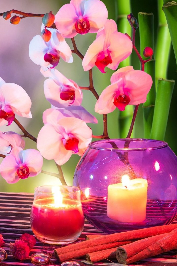 Orchids Candles Stones Wallpaper Iphone Resolution - Orchids Wallpaper For Iphone - HD Wallpaper 