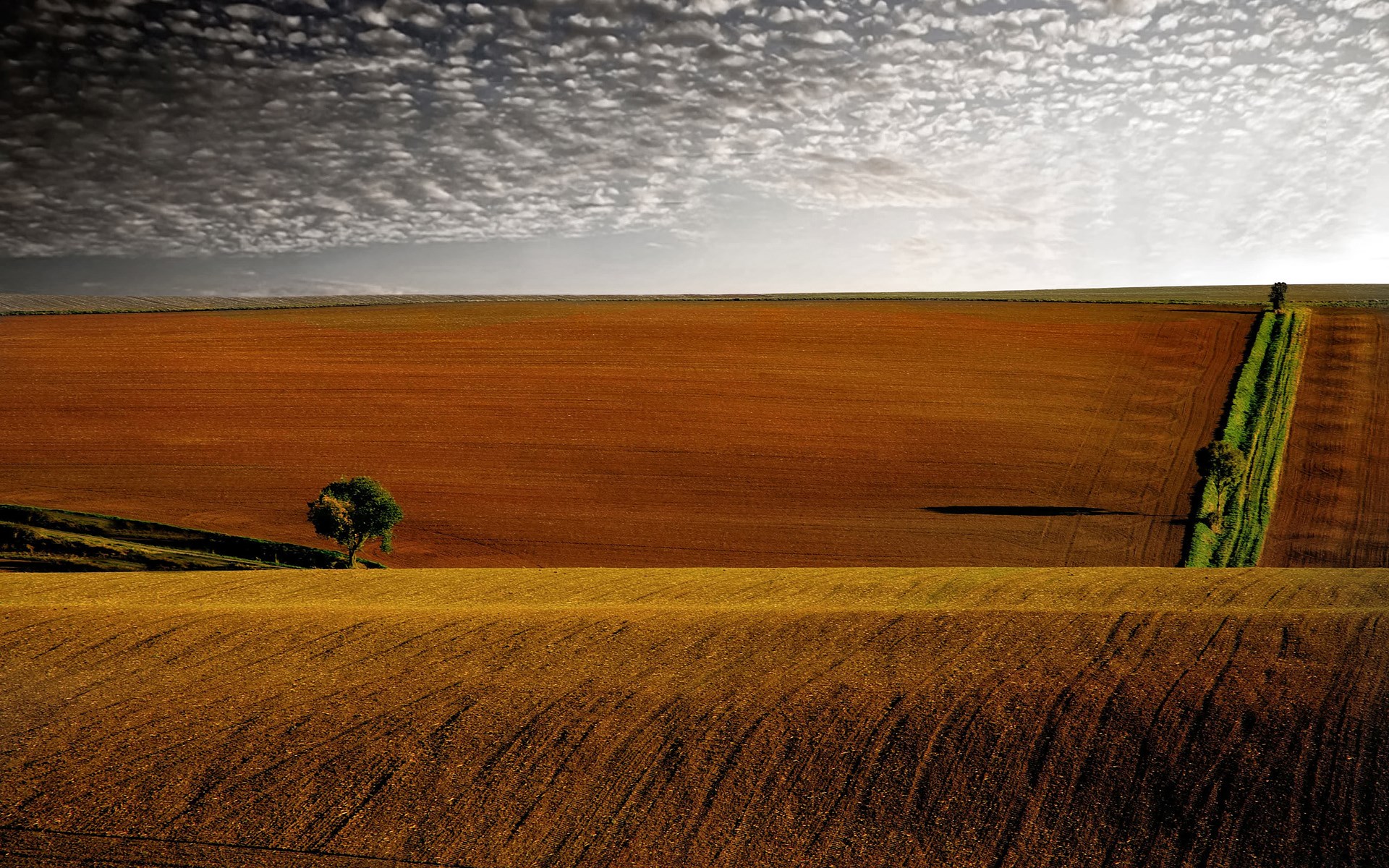 Full Hd Nature Wallpapers 1080p Desktop - HD Wallpaper 