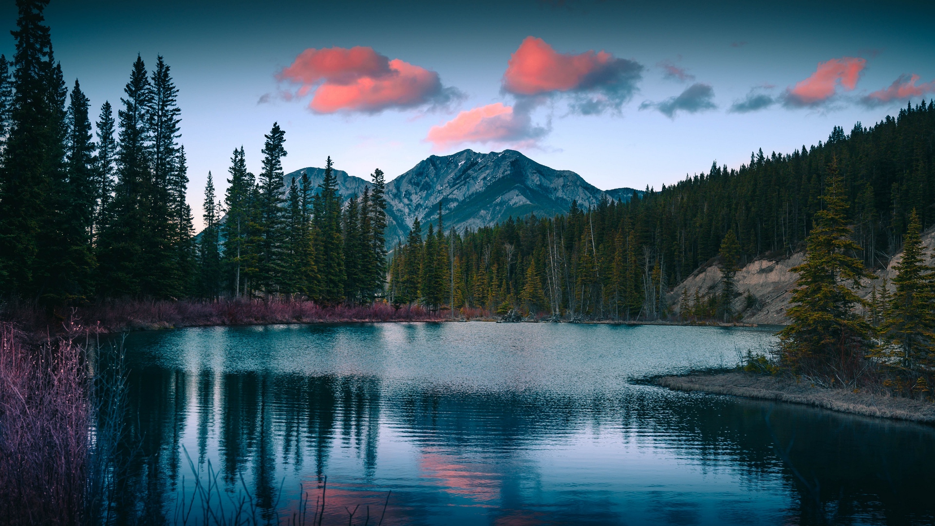 Wallpaper Lake, Mountains, Forest, Landscape, Nature - HD Wallpaper 