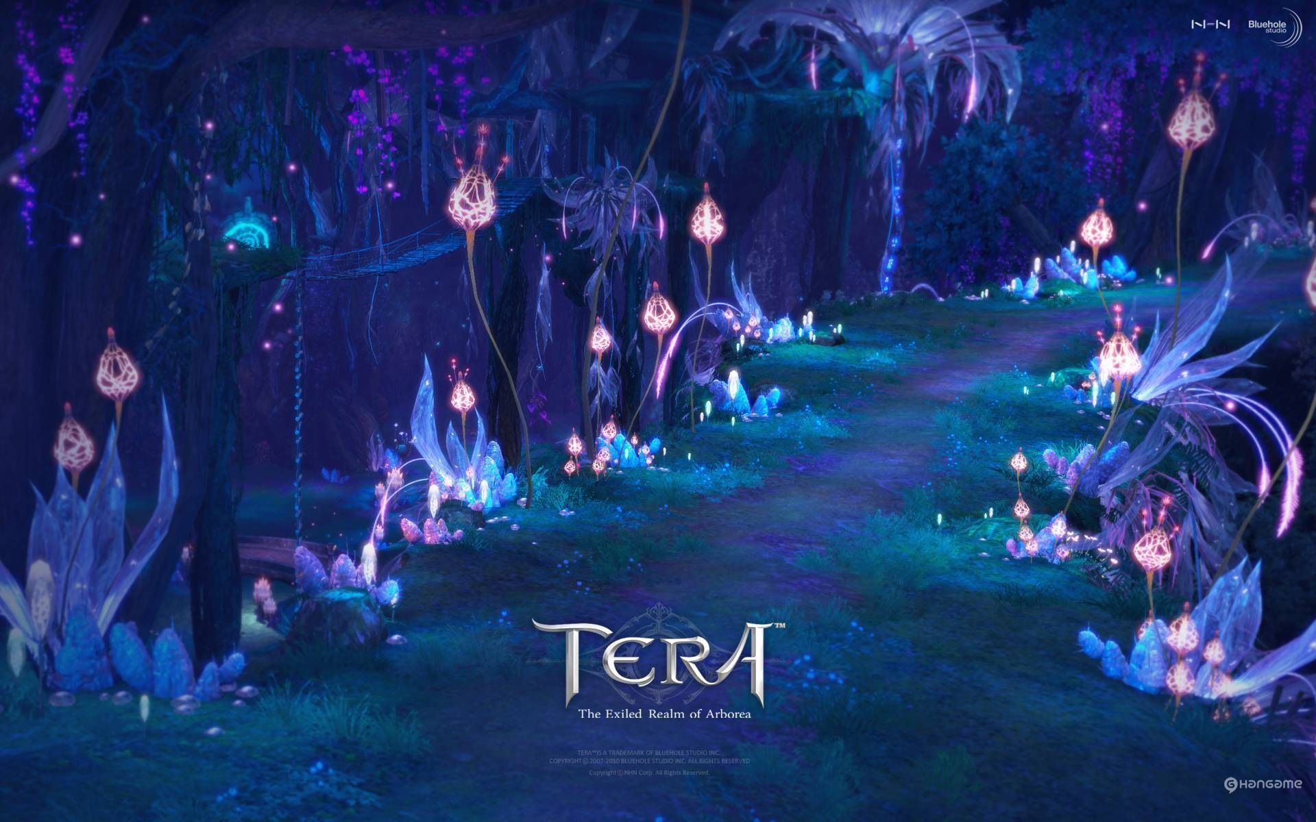 Tera Hd Game Wallpapers - Tera Online - HD Wallpaper 