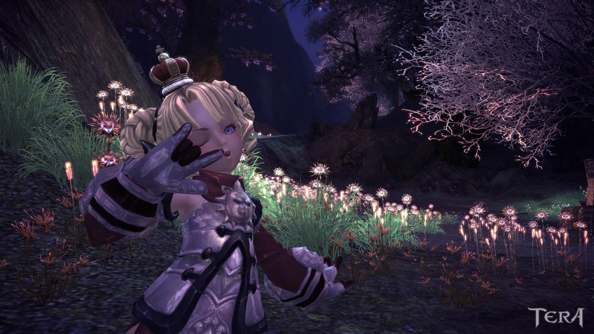 Tera Elin Lancer Gemini - HD Wallpaper 