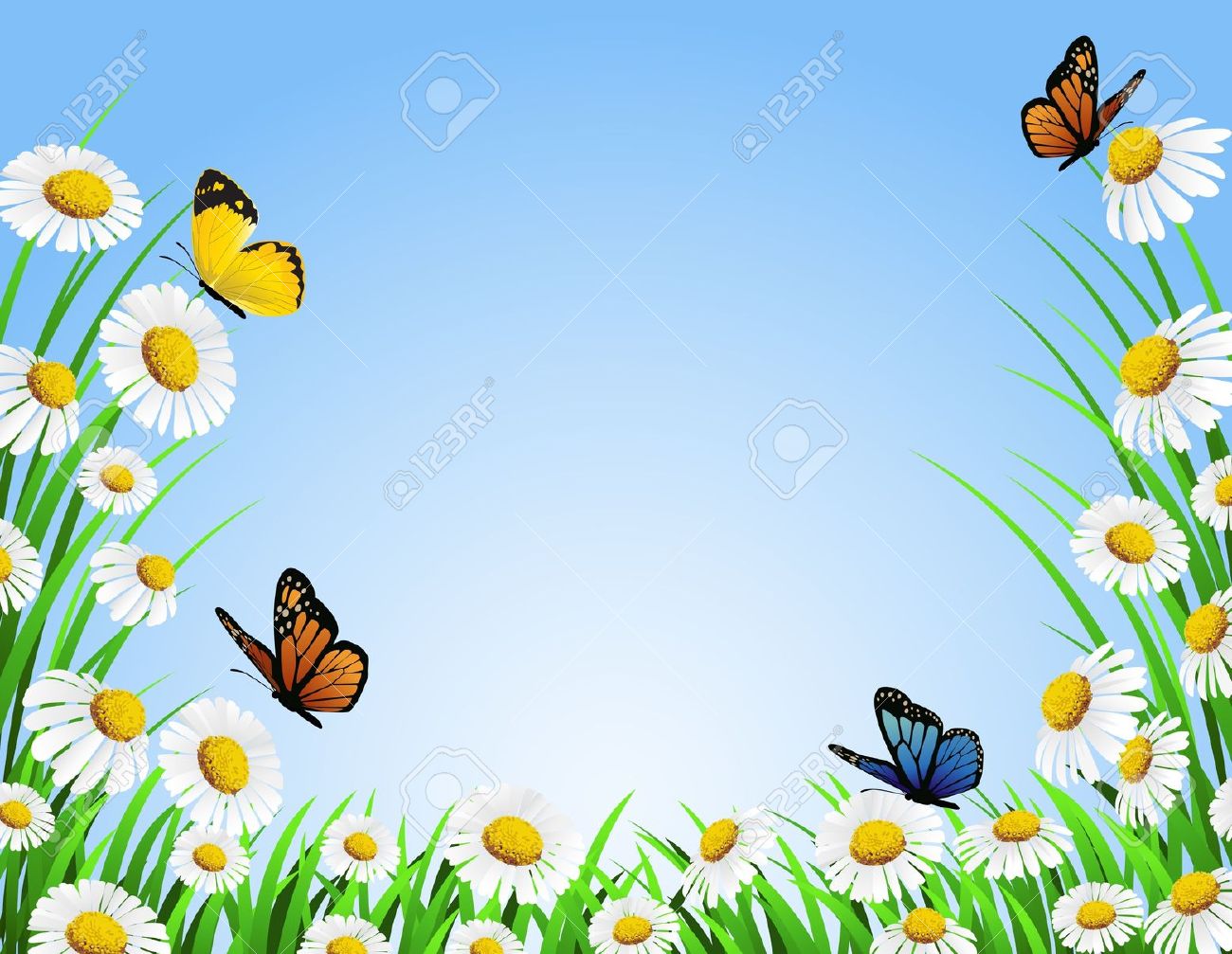 Butterfly And Daisies, Ti/56 - Design Border About Nature - HD Wallpaper 